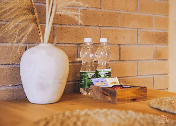 D77 Luxury Lejlighed Łódź