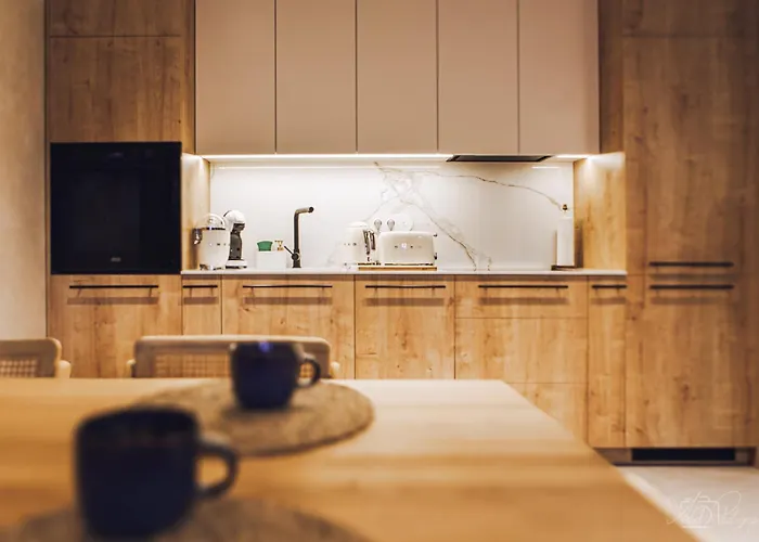 Apartman D77 Luxury Łódź